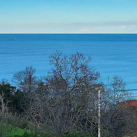 Vista Alegre * Zarautz