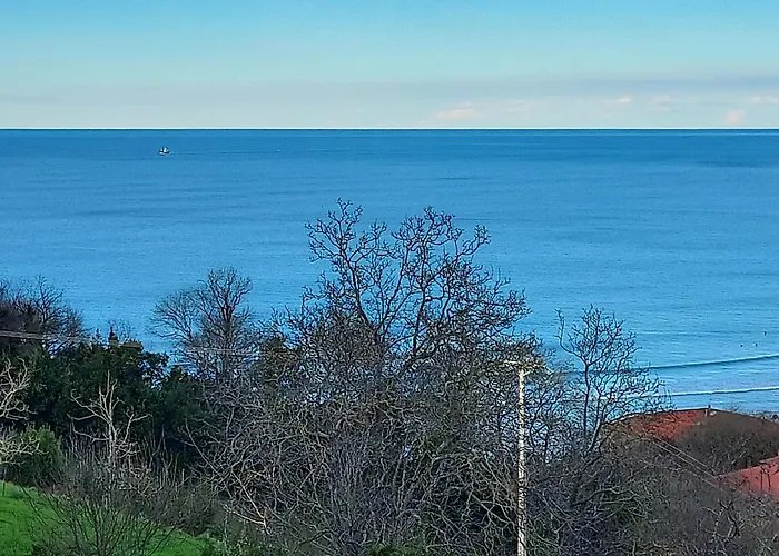 Vista Alegre * Zarautz